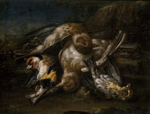 Dead Birds