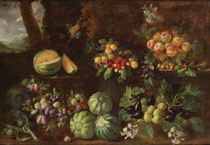 Fruits