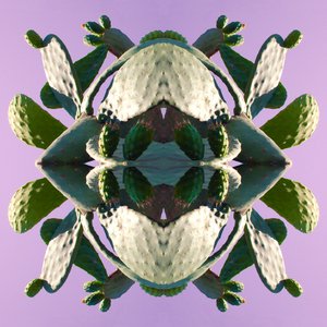 Unnatural 196 by Giovanni Cafagna