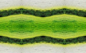 Unnatural 2.1 by Giovanni Cafagna
