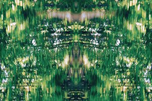 Unnatural 31 by Giovanni Cafagna