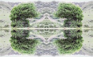 Unnatural 40 by Giovanni Cafagna