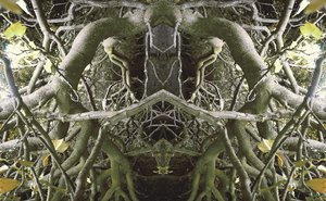 Unnatural 41 by Giovanni Cafagna
