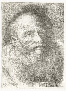 Man with Beard and Feathered Headgear by Giovanni Domenico Tiepolo