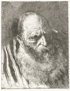 Man with Beard in Striped Cloak (series title: Collection of Heads) by Giovanni Domenico Tiepolo