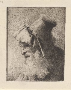 Profile of an Elderly Man with a Beard, from the Raccolta di Teste (Collection of Heads) by Giovanni Domenico Tiepolo