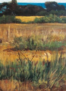 Maremma Toscana, circa 1894 (detail) by Giovanni Fattori