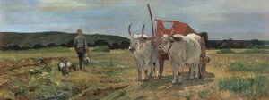 Ox-cart in the Tuscan Maremma