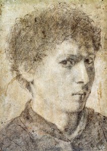 Head of Young Boy, Drawing by Gian Girolamo Savoldo by Giovanni Girolamo Savoldo