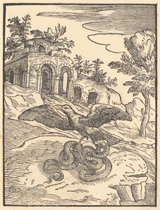 Bird and Snake by Giovanni Maria Verdizotti