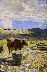 Brown Cow Drinking from a Trough