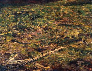 Alla Stanga