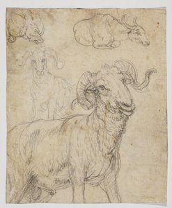 Ram and Buffalo (verso)