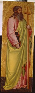 The Saint Apostle Andrew