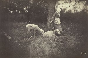 Shepherdess Leaning Against a Tree, with Two Sheep by Giraudon