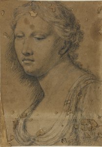 Bust of Woman