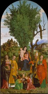 Madonna and Child with Saints, ca. 1520
