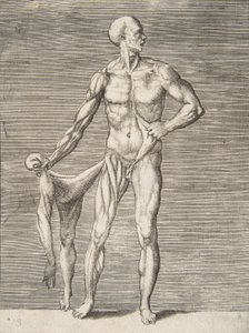 Man Seen from the Front, Holding the Skin of His Right Arm and Leg in His Right Hand