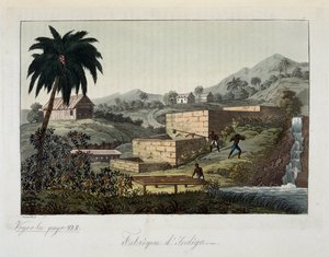 The indigo factory - in The Old and Modern Costume, by Dr. Jules Ferrario, ed. Milan by Giulio Ferrario