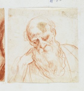 Head of a Bearded Man Looking Down by Giuseppe Cesari