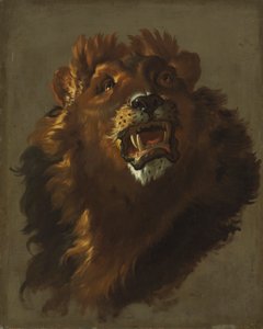 Lion by Giuseppe Baldrighi