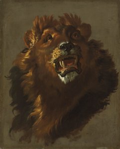 Lion, 1750s by Giuseppe Baldrighi