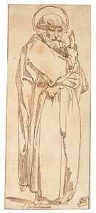 Twelve studies of the Apostles