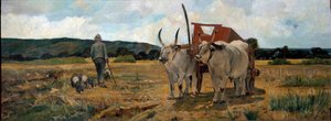 Landscape in Maremma