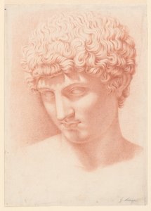Head of Apollo by Giuseppe Longhi