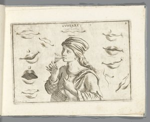 Taste by Giuseppe Maria Mitelli