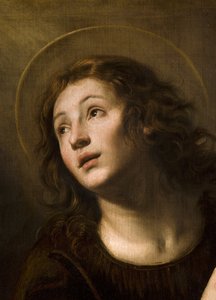 Saint John the Evangelist