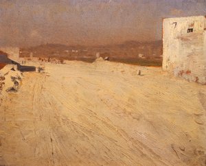 Landscape in Sun