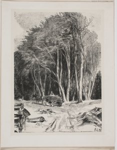 Logging