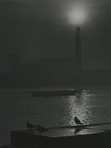 Seagulls Silhouettes at Dusk near the River Thames by Godfrey Macdominic