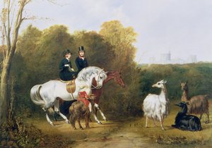 Queen Victoria and Prince Albert Viewing the Llamas in the House Park, Windsor