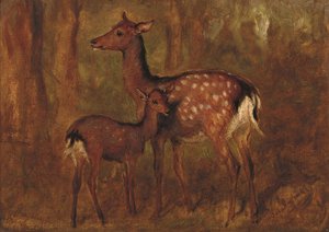 Japanese Deer at Talliallan by Gourlay Steell