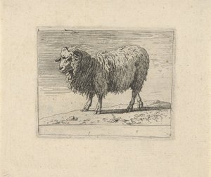 Ram by Govert van der Leeuw