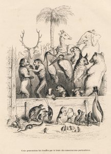 Conversation Between Animals