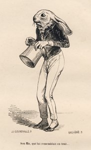 Fearful hare in dandy costume. Illustrated vignettes by JJ Granville. Engraving signed Breviere in the section "History of a Hare" written by PJ Stahl in "Scenes from the Private and Public Life of Animals". Paris, J. Hetzel and Paulin by Grandville