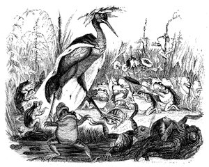 The Frogs Ask the King, Illustration from 