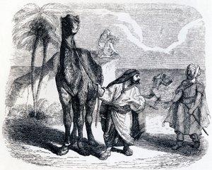 The Camel and the Floating Sticks - Fables by La Fontaine