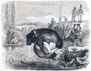 The Dog That Gives Up Its Prey for the Shade - Fables by La Fontaine by Grandville