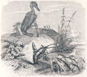The fishes and the cormorant - Fables by La Fontaine by Grandville