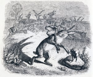 The Hare