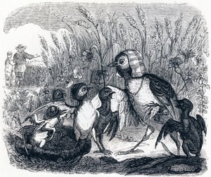 The Lark and Its Young, with the Master of a Field - Fables by La Fontaine by Grandville