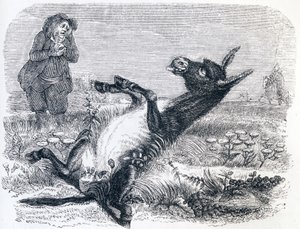 The old man and the fox - Fables by La Fontaine by Grandville