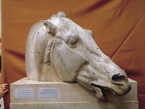 Head of a Horse of Selene