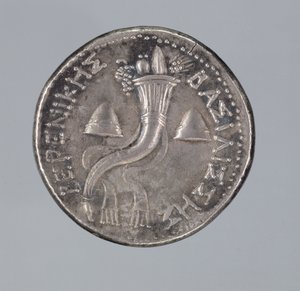 Silver Didrachma of Berenice II by Greek