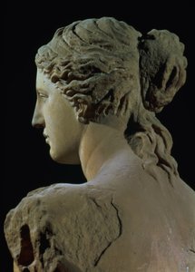 Venus de Milo (detail)