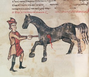 Operating on a Horse by Greek School